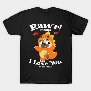 Rawr Means I Love You In Dinosaur, I Love You Design T-Shirt